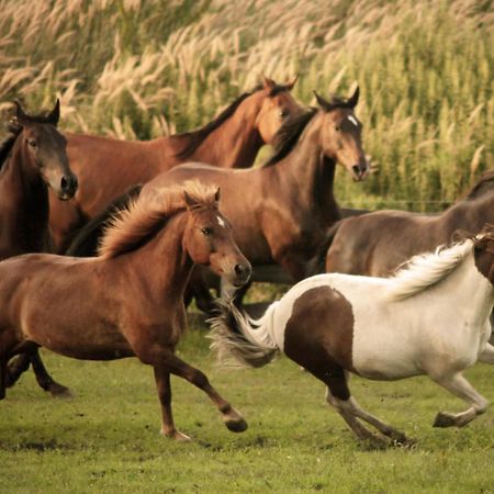 فيلا Rancho Colorado Trzciel المظهر الخارجي الصورة