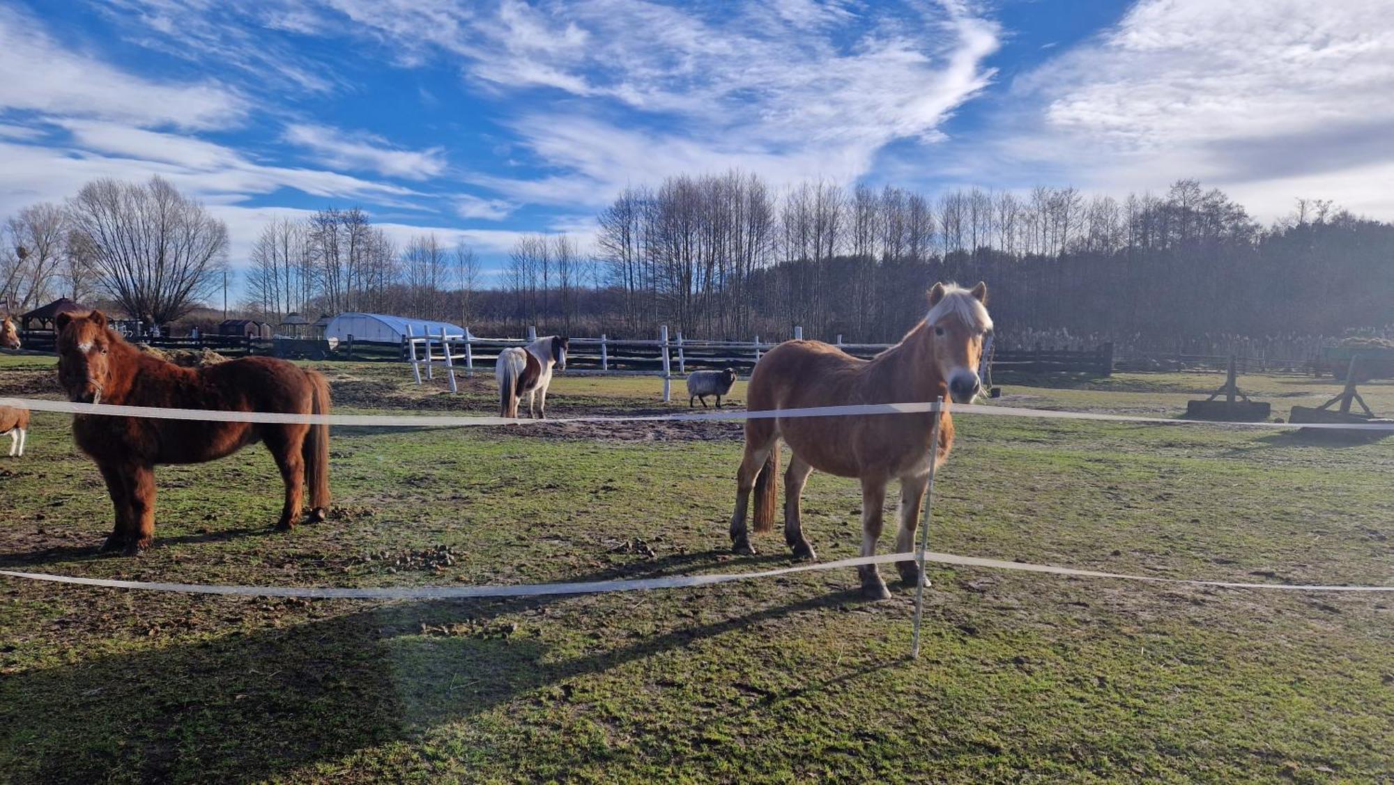 فيلا Rancho Colorado Trzciel المظهر الخارجي الصورة
