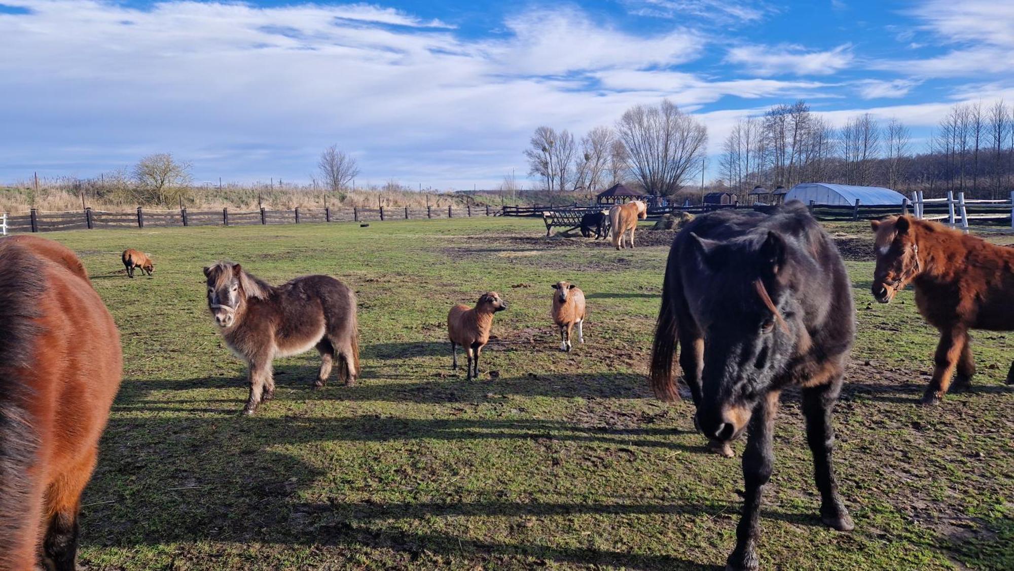فيلا Rancho Colorado Trzciel المظهر الخارجي الصورة