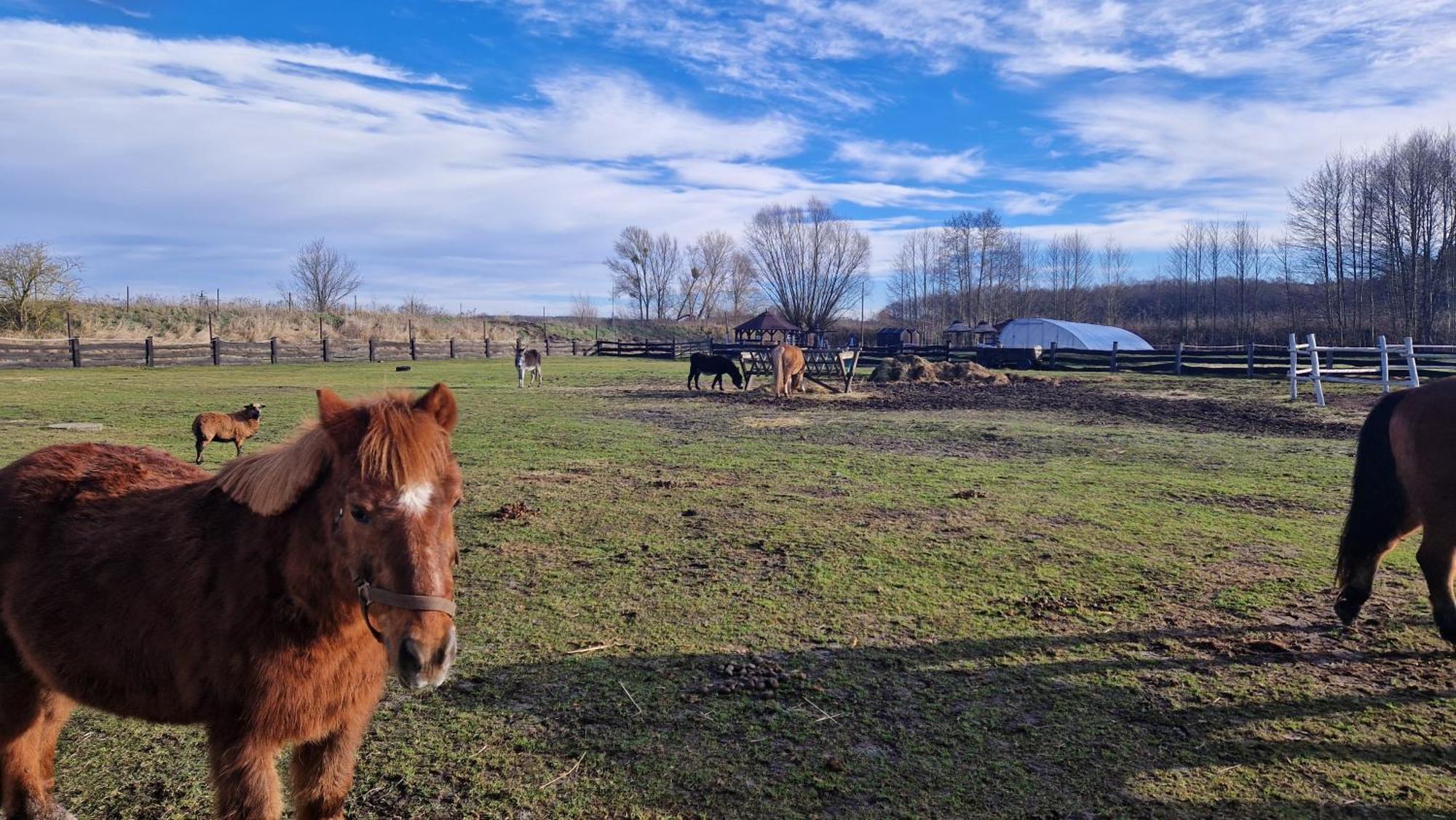فيلا Rancho Colorado Trzciel المظهر الخارجي الصورة