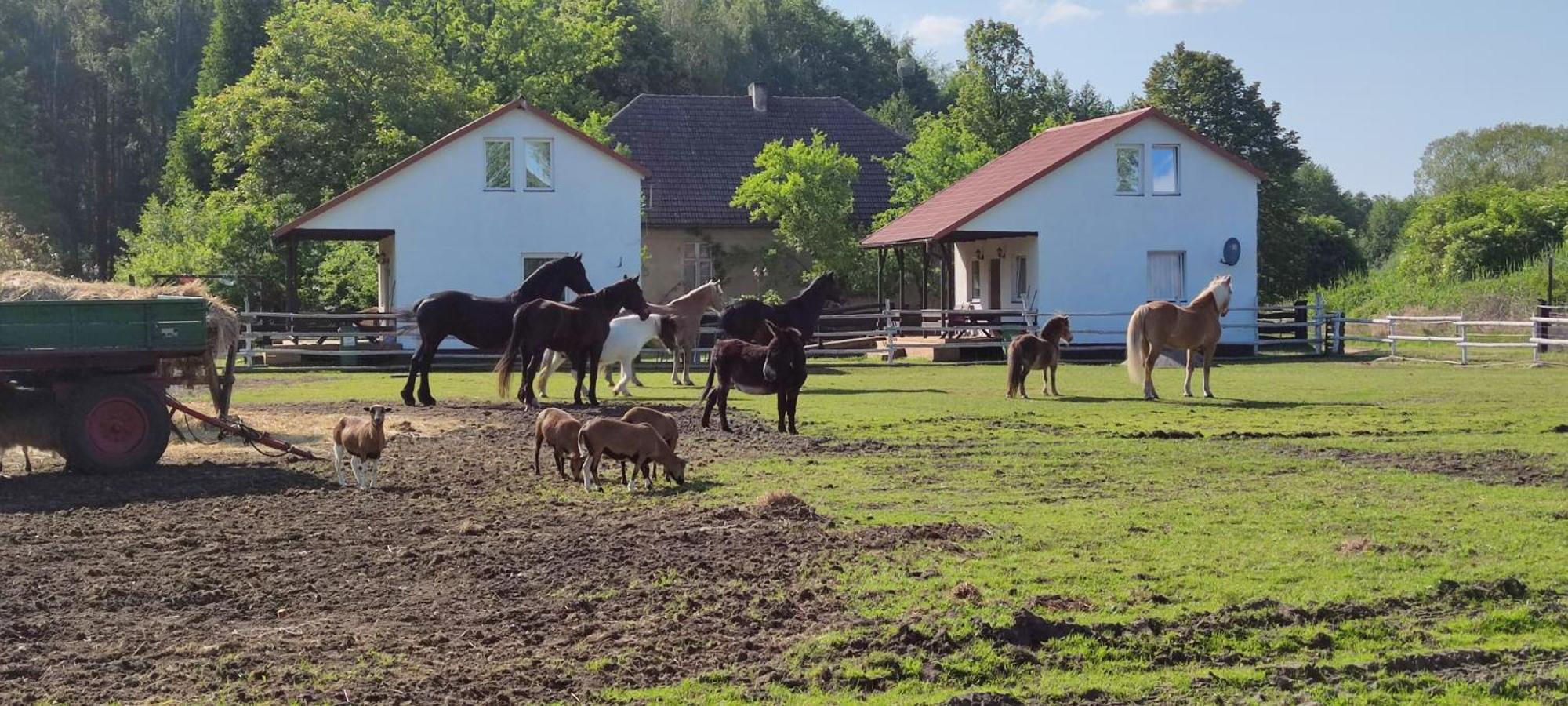 فيلا Rancho Colorado Trzciel المظهر الخارجي الصورة