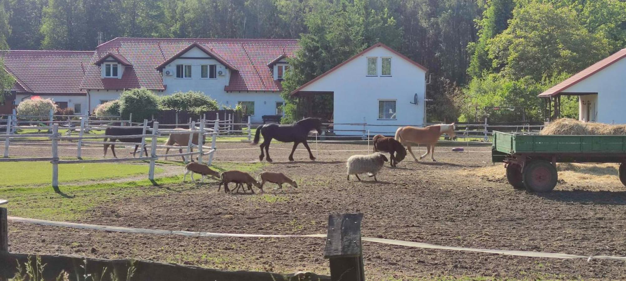 فيلا Rancho Colorado Trzciel المظهر الخارجي الصورة